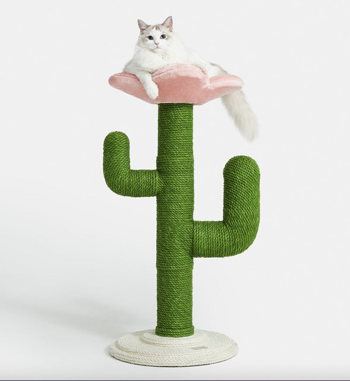 VETRESKA 87cm Cactus flower Cat Scratching Scratc