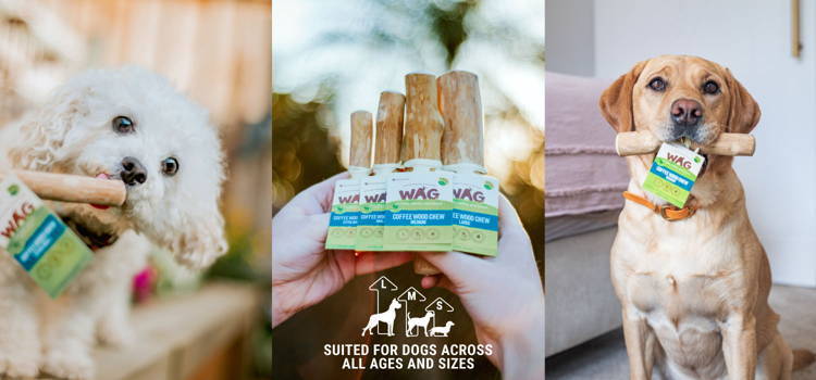 WAG Dog Treats COFFEE WOOD CHEWS 4 size