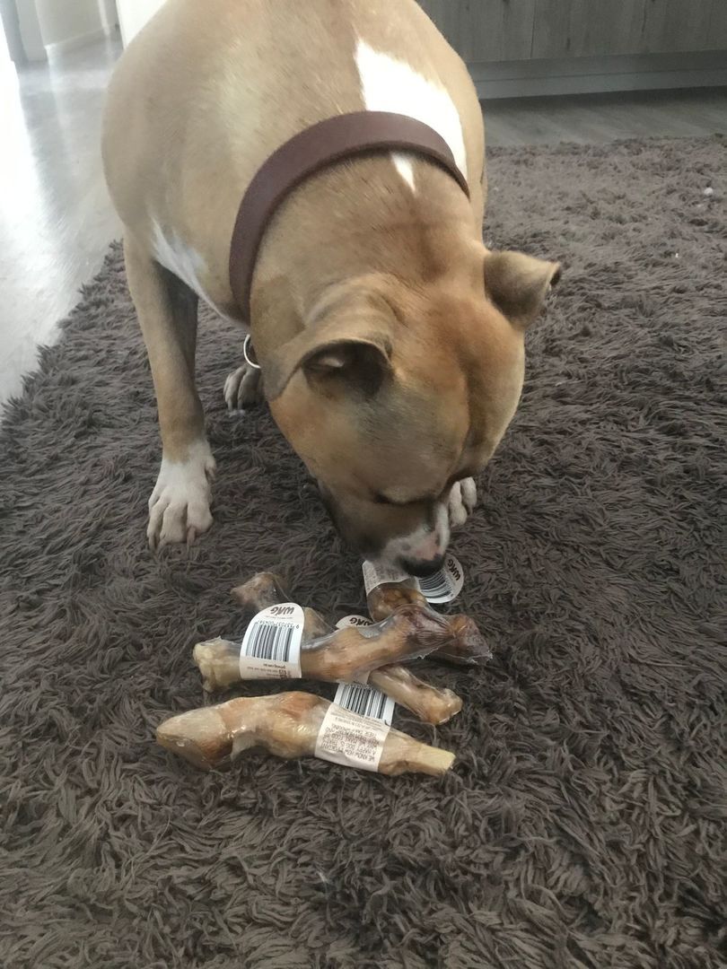 Wag Whole GOAT TROTTER Dog Treat( 4pack)