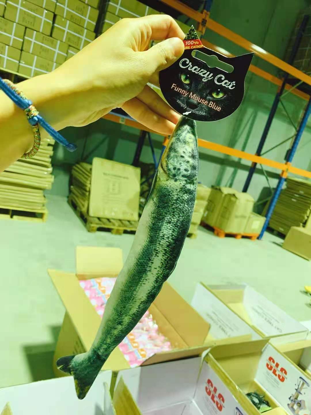 Asiasilvervine Simulation Fish Shape Realistic Flu