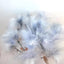 PC Asiasilvervine Cat Toy Feather Interactive Cat