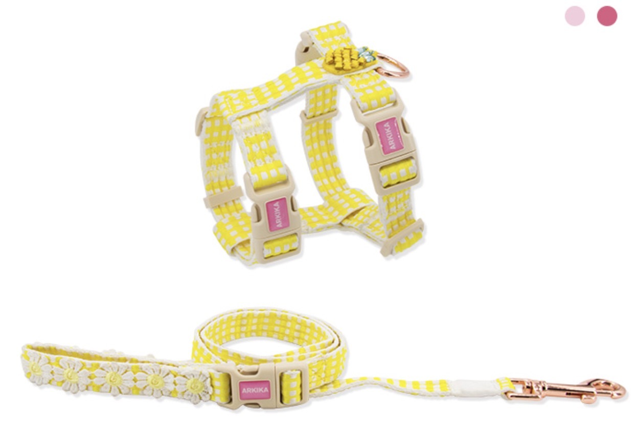 Arkika Pet Pet Dog Cat Puppy Floralia Leash & Col