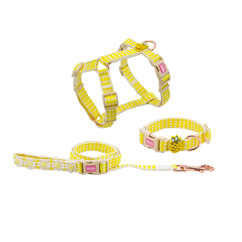 Arkika Pet Pet Dog Cat Puppy Floralia Leash & Col