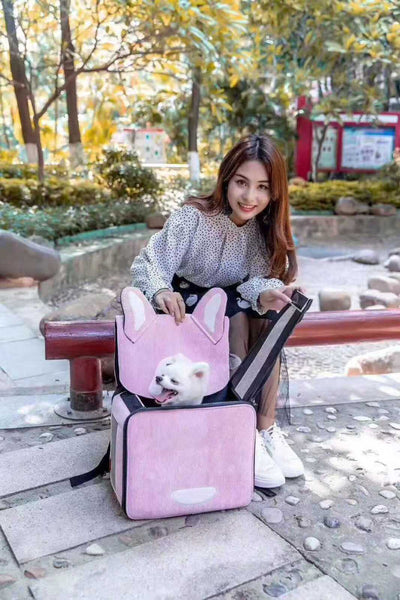 ARKIKA Akinu Pet Carrier Bag Cat Dog Breathable Do
