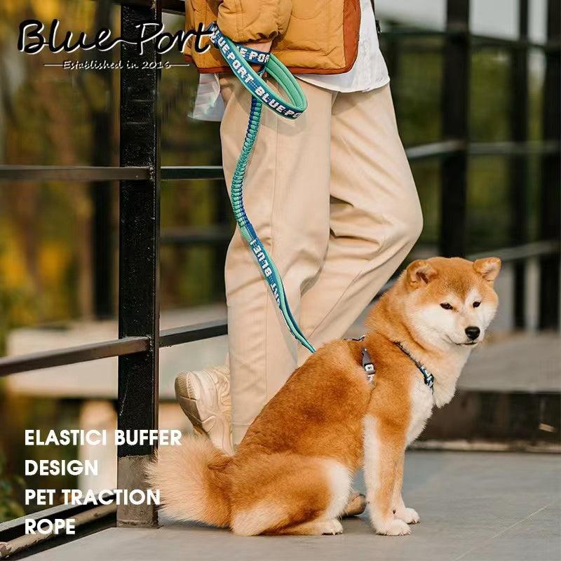 Pet Dog Lead,Shock Absorbing Dog Rope Leash ReflecAnti Pull Dog Leash AU Blueport