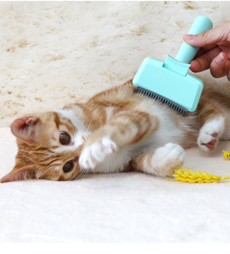 Goldpets Hair Remover Pet Brush for Dog Cat Groomi