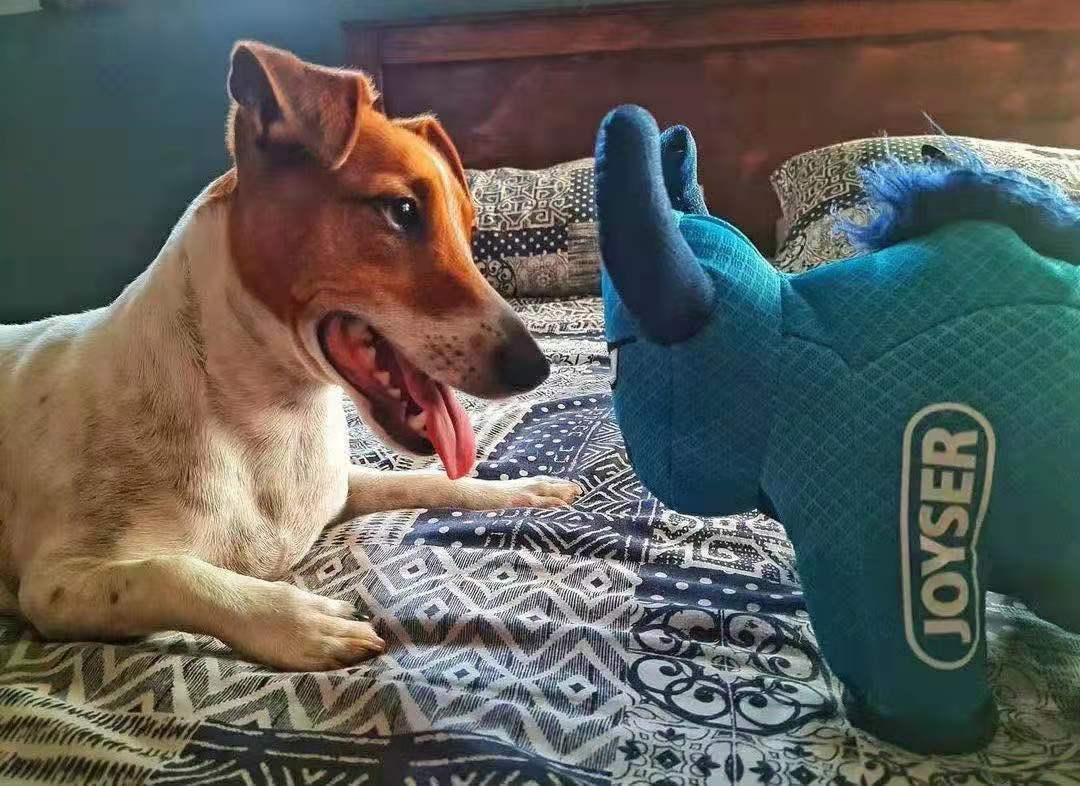 Squeak Pet Dog Stuffed Plush Chew Toy Bullfight Sh