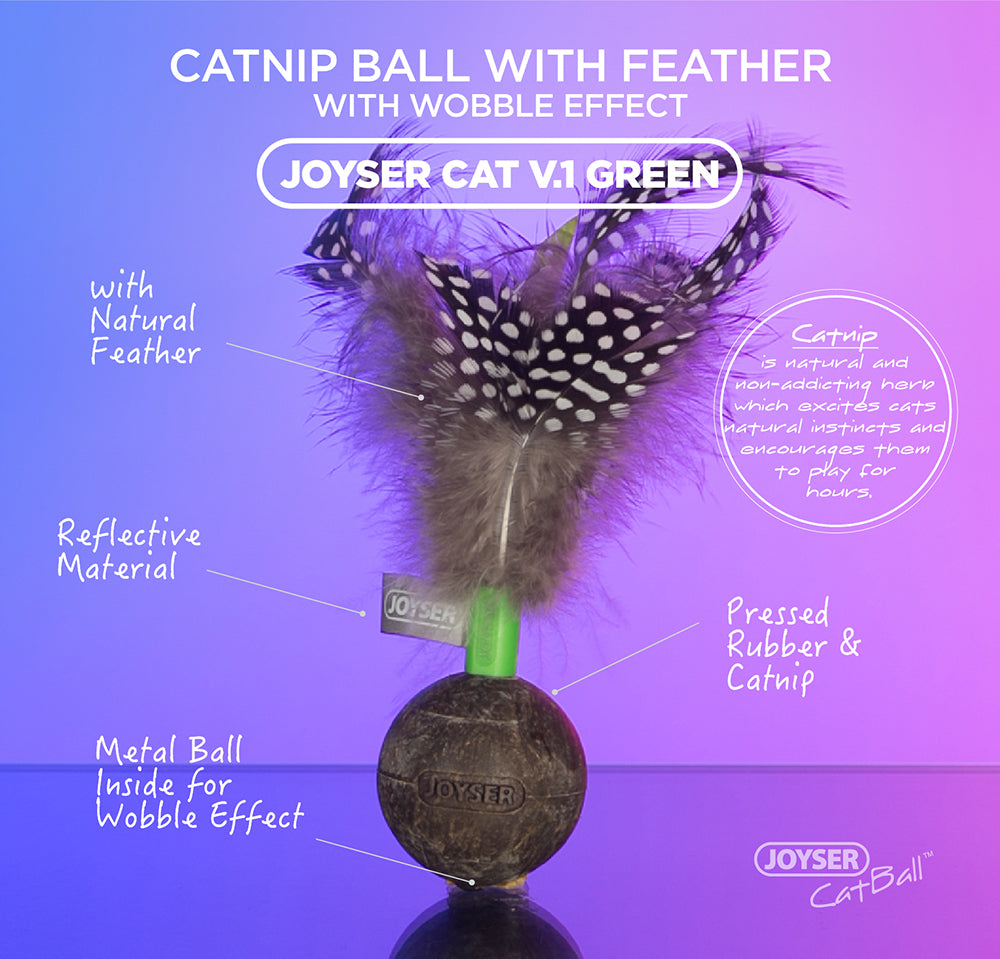 Natural Cat Catnip Lick Ball with Feather Healthy