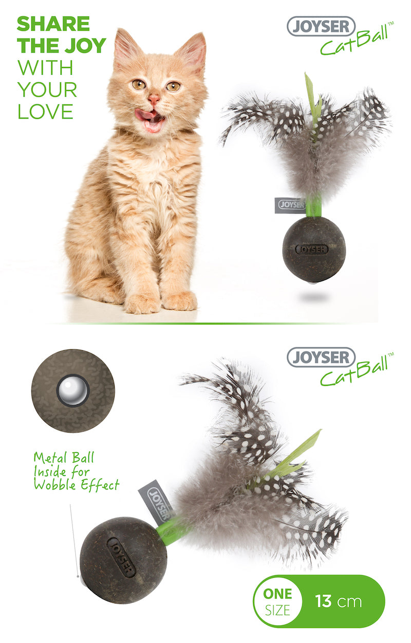 Natural Cat Catnip Lick Ball with Feather Healthy