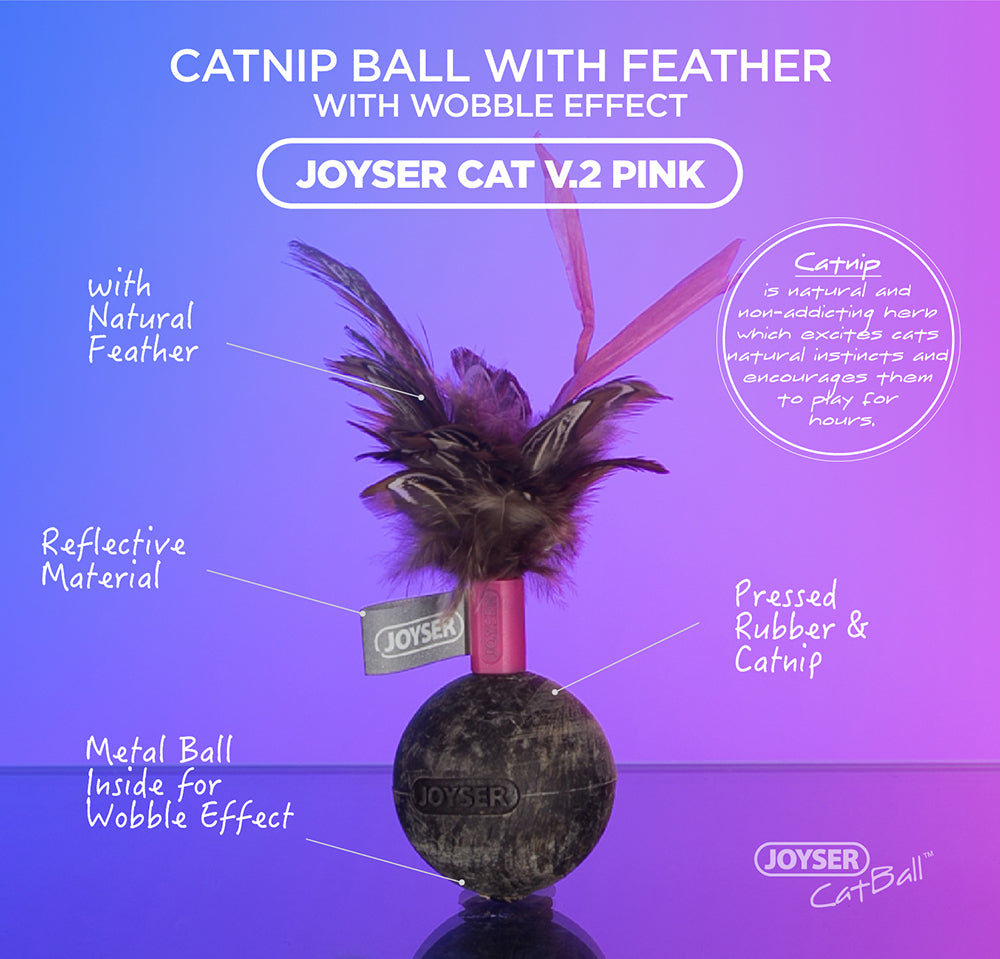 Natural Cat Catnip Lick Ball with Feather Healthy