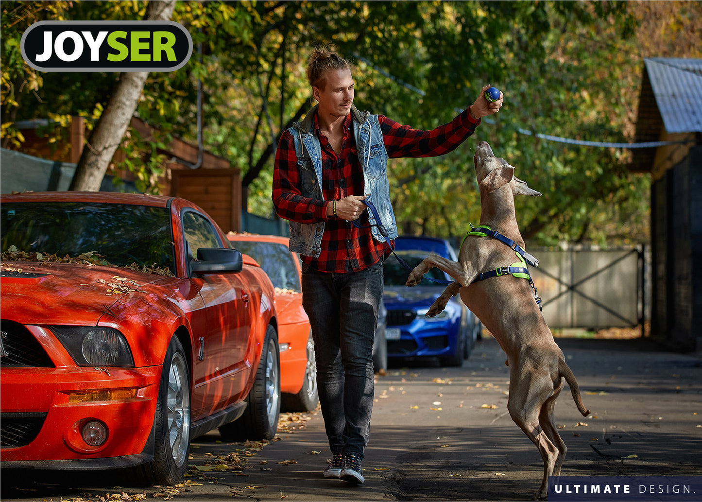 Joyser Dog Vest Harness Adjustable Outdoor Adventu