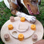 My Intelligent Pets Wooden Foraging Toy -Interacti
