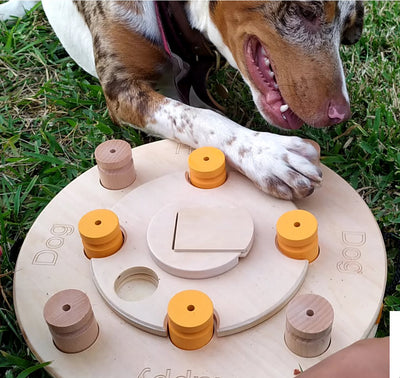 My Intelligent Pets Wooden Foraging Toy -Interacti