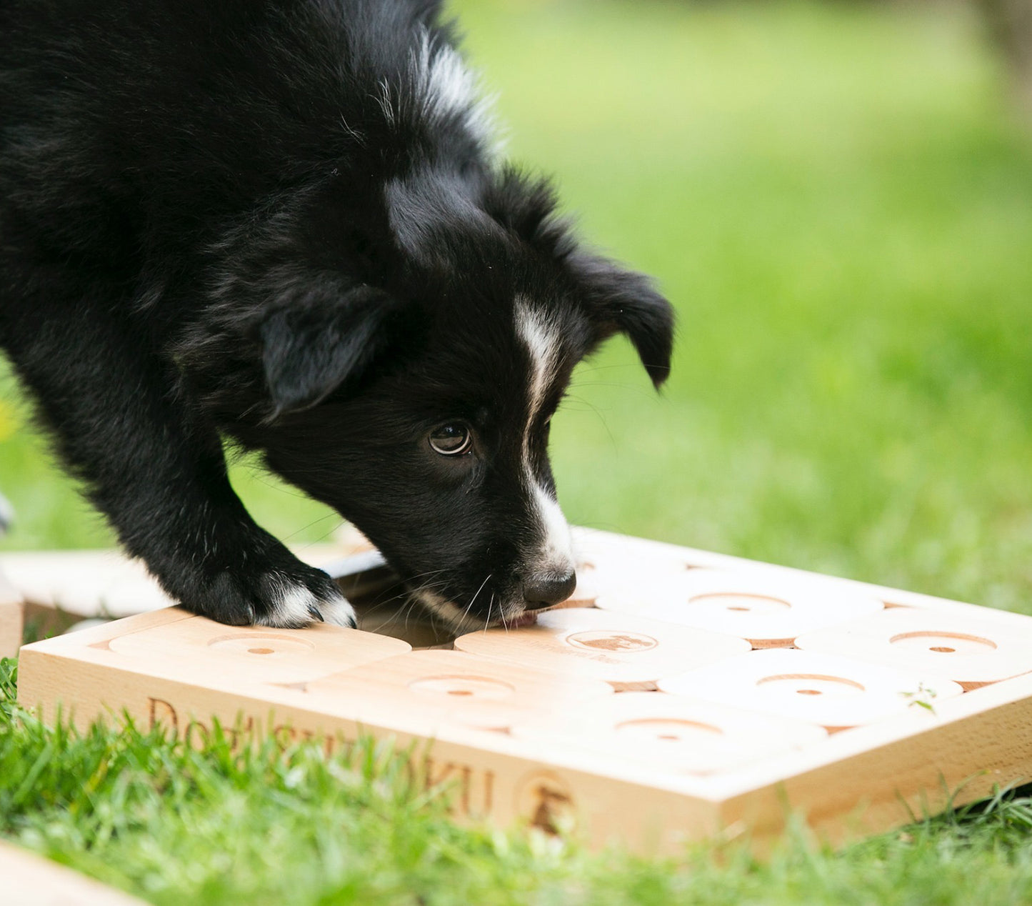 My Intelligent Pets Wooden Foraging Toy Dog's SUDO