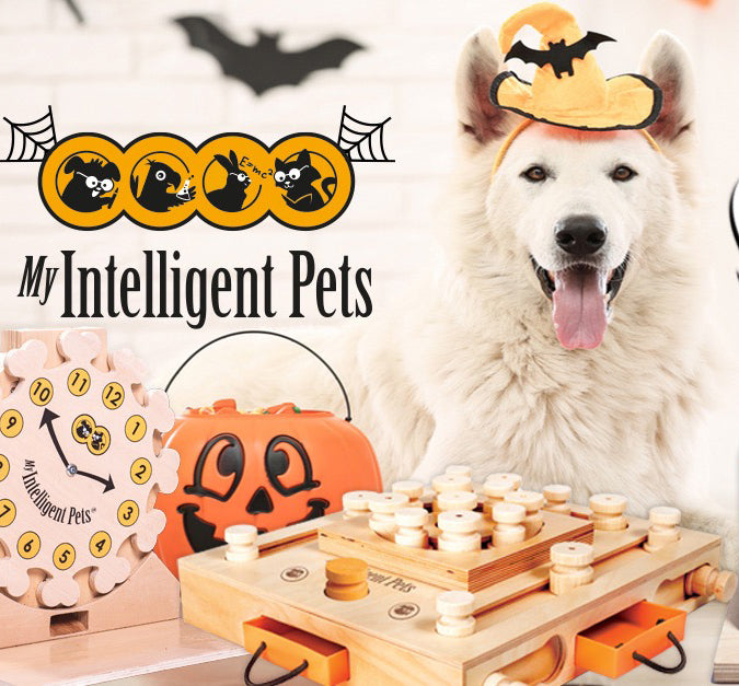 My Intelligent Pets Wooden Foraging Toy - Turtle (