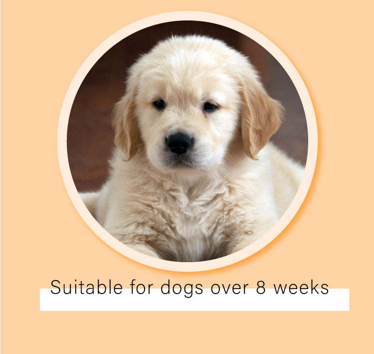 Odout Pet Ddog Puppy Toilet Potty Training Aid Spr