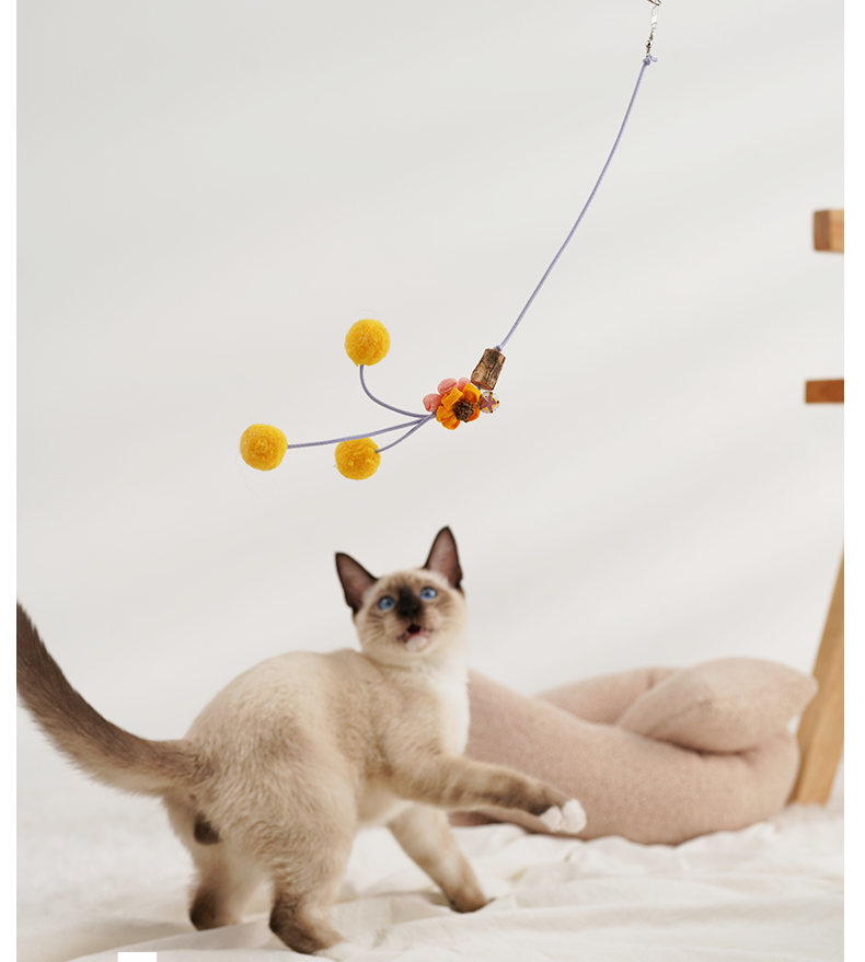 Cat Play Toy Feather Teaser Wand Interactive Stick