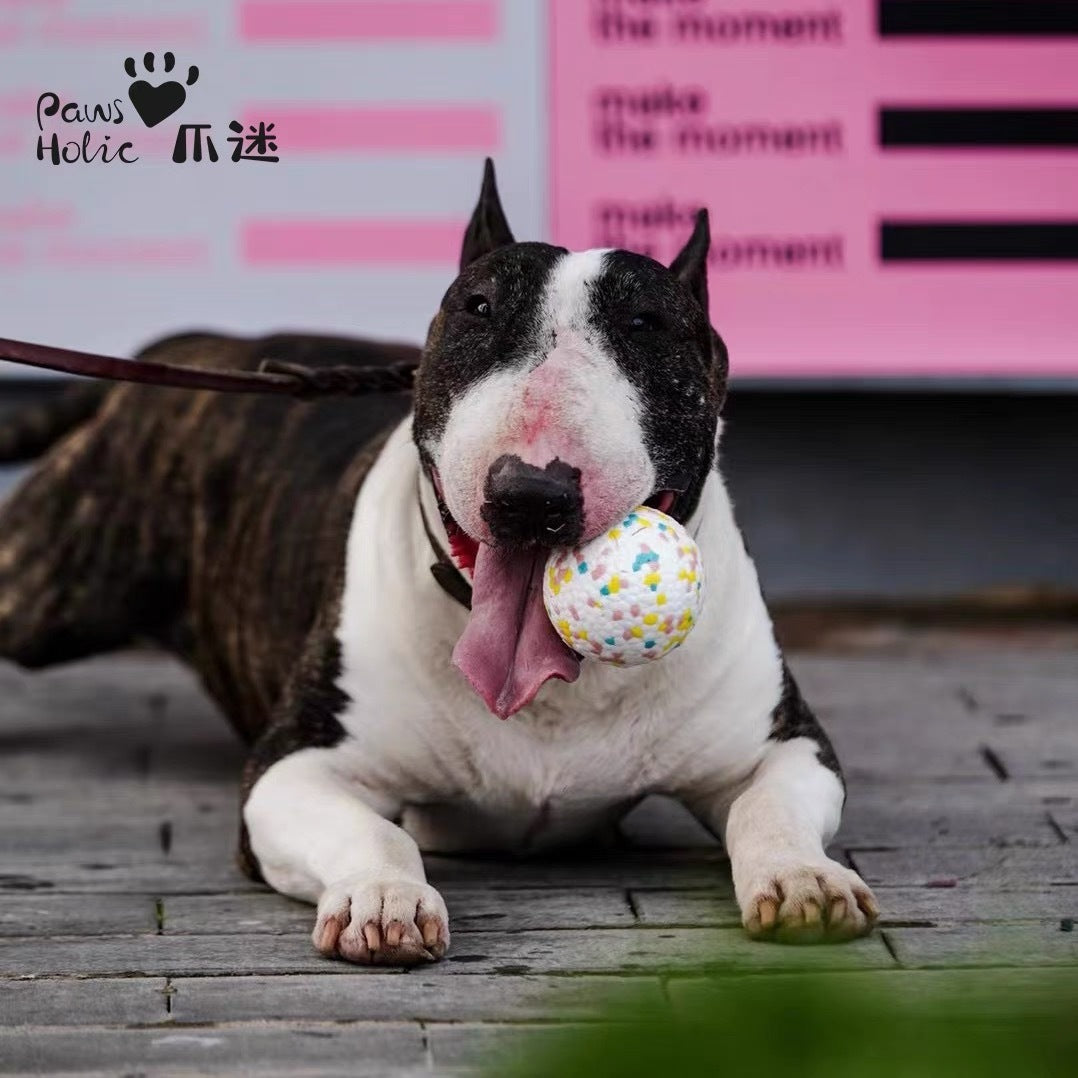 PAWS HOLIC Pop Pals Solid Training Toy Rubber Ball