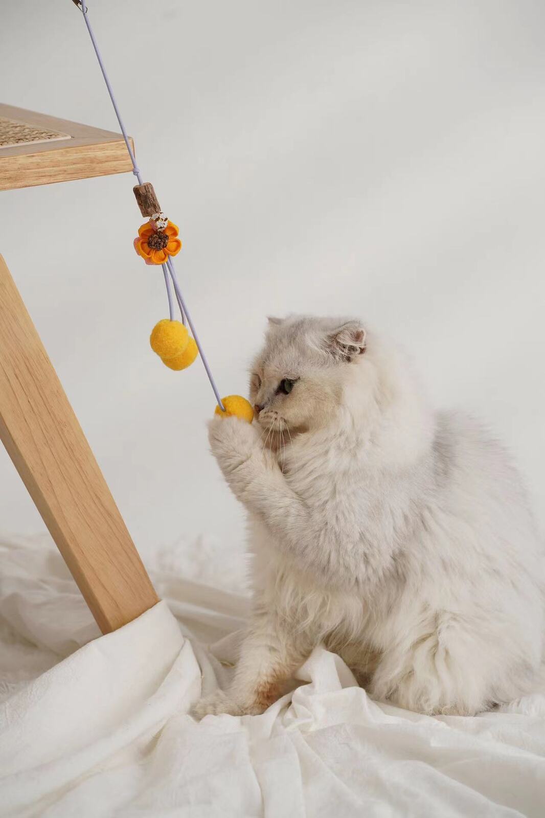 Paws Holic Changeable Cap for Cat Teaser Wand Toys