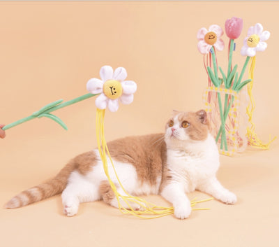 PurLab Pet Cat Teaser Interactive Fun Kitten Toy F
