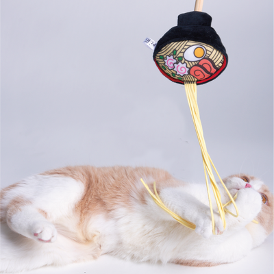 Ramen/Chips Cat Teaser Wand Stick Play Toy Kitten