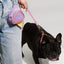 Purrre Dog Poop Bag Dispenser Pet Waste Bags