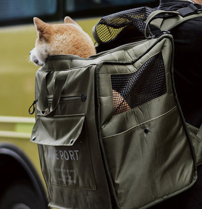 BluePort Pet Carrier Dog Cat Travel Cage Foldable