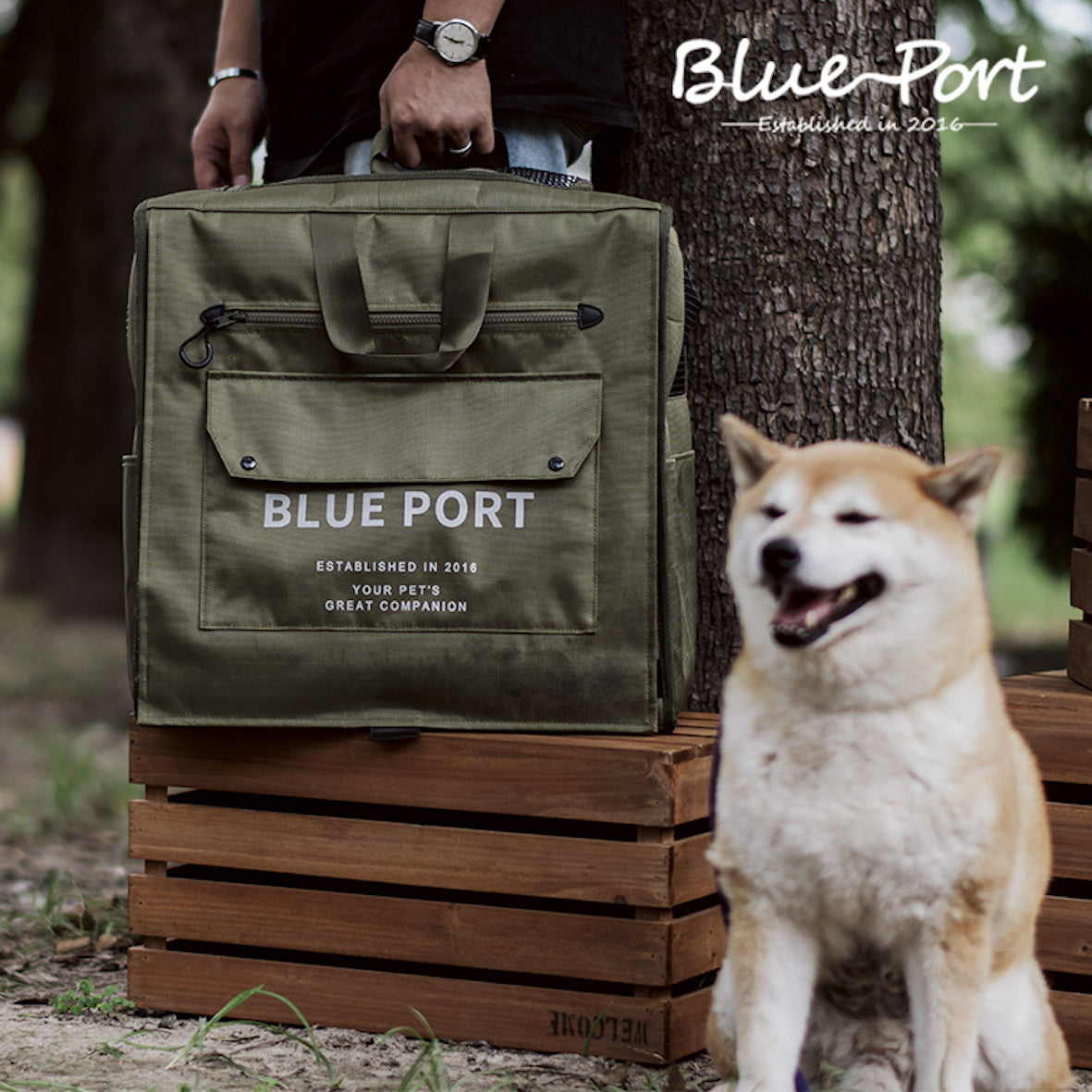 BluePort Pet Carrier Dog Cat Travel Cage Foldable