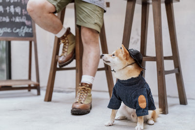 Cute Dog Denim Vest Jacket Pet Clothes Puppy Cloth