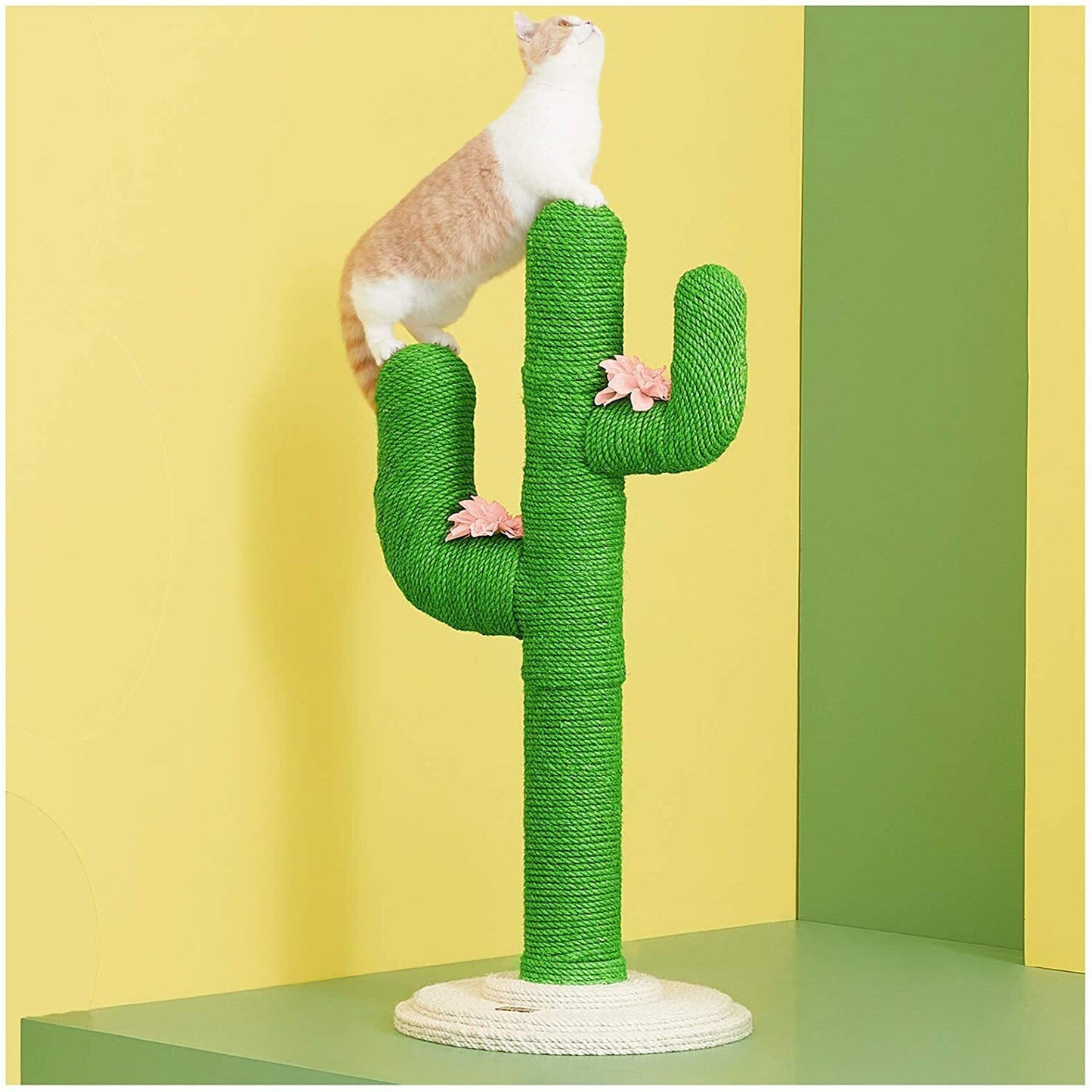 Vetreska Oasis Cactus Scratching Tree Cat Kitten C