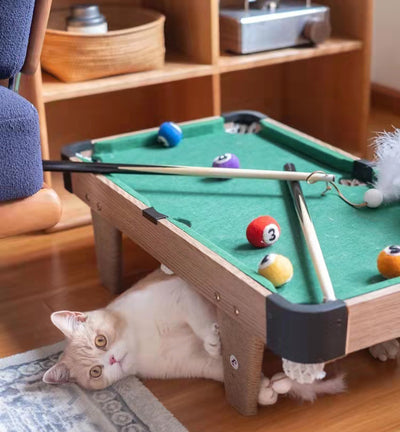 Cat Scratching Scratcher Tree Pad Toy - Snooker Bi