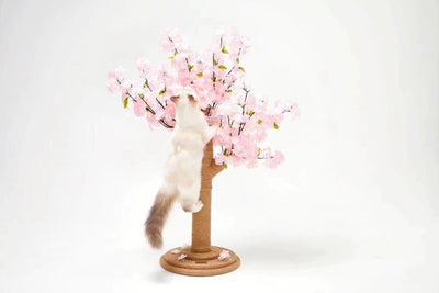Vetreska Scratcher Cherry Blossom Tree Cat Kitten