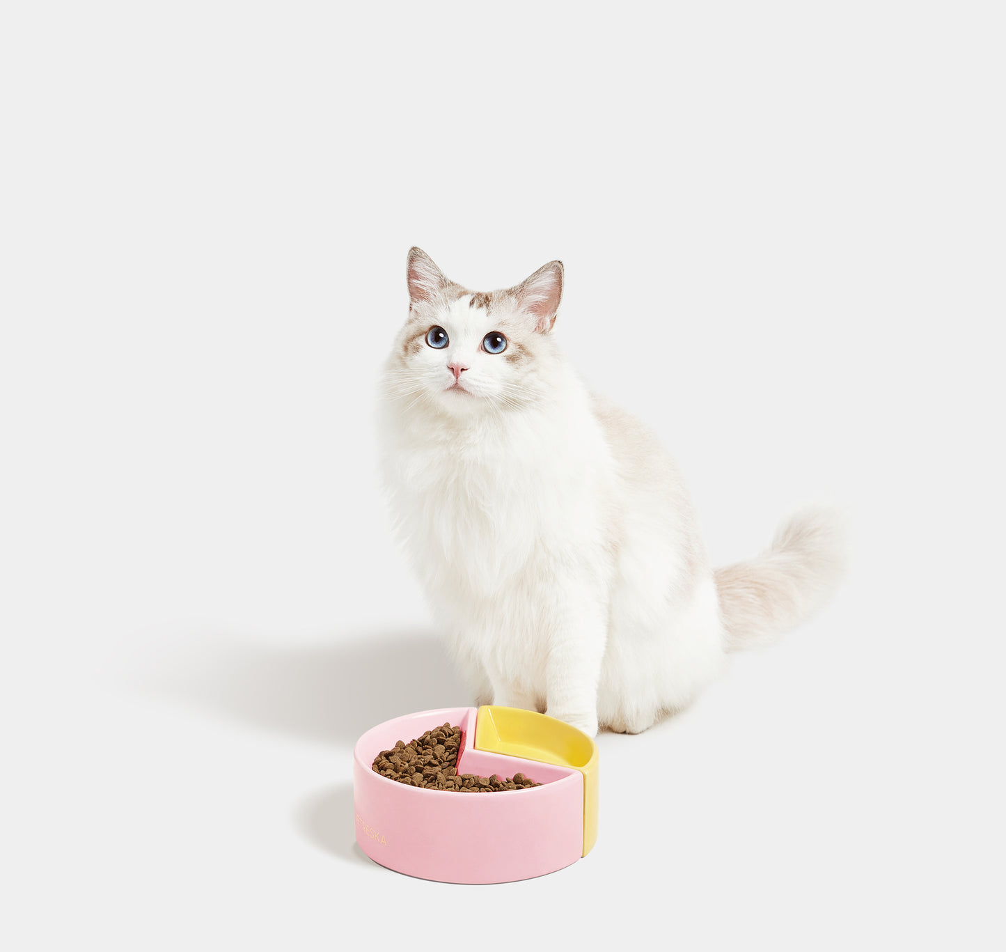 Vetreska Like a Grapefruit Ceramic Pet Bowl