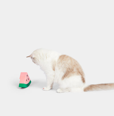 VETRESKA Premium Cat Toy Watermelon Automatic Lase