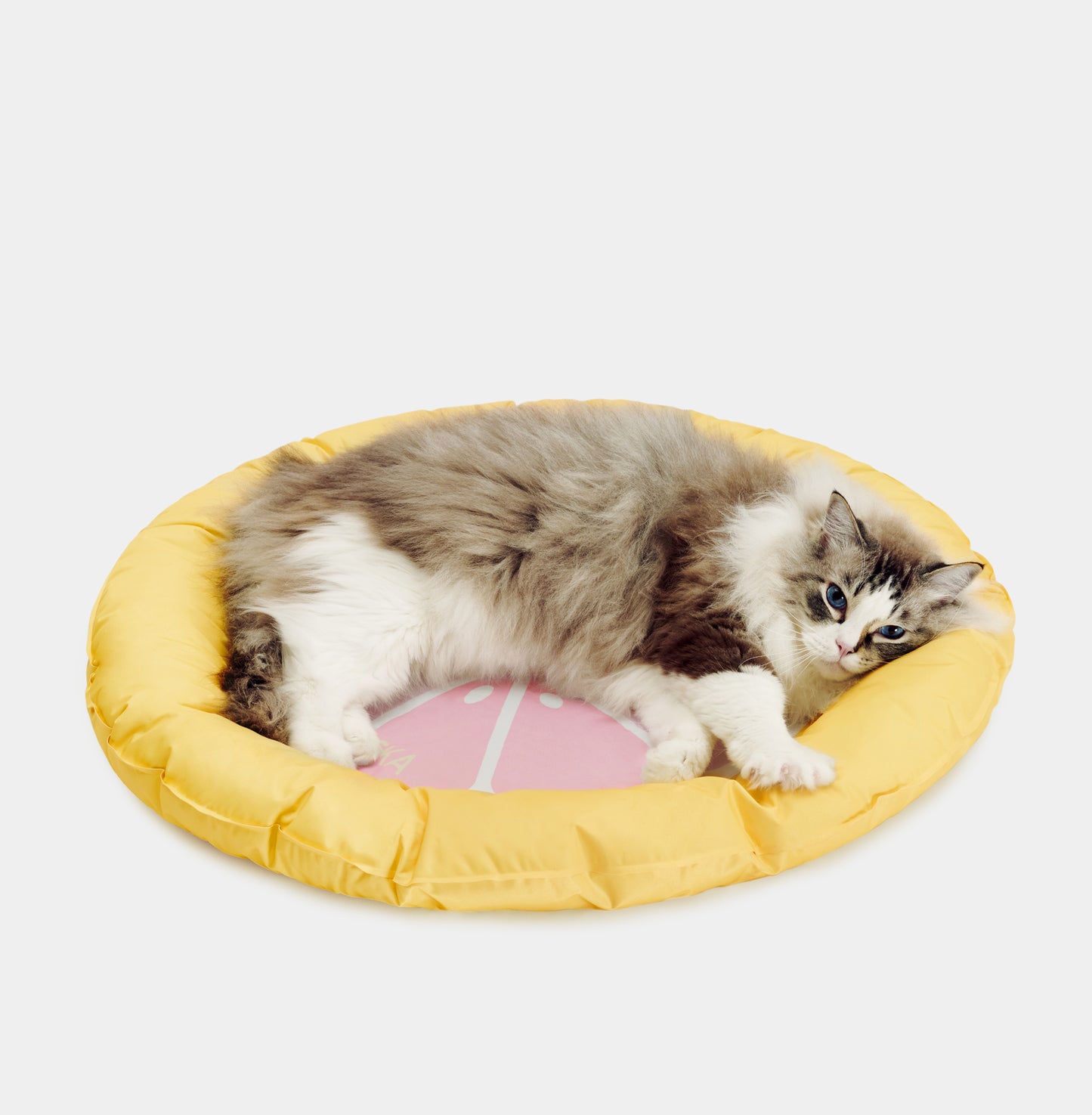 VETRESKA Like a Grapefruit Pet Cooling Mat Dog Cat