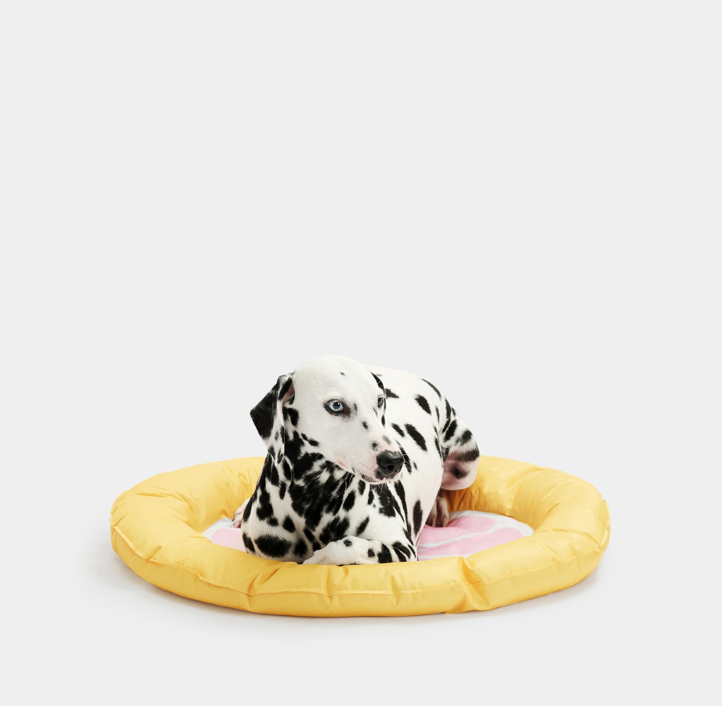 VETRESKA Like a Grapefruit Pet Cooling Mat Dog Cat