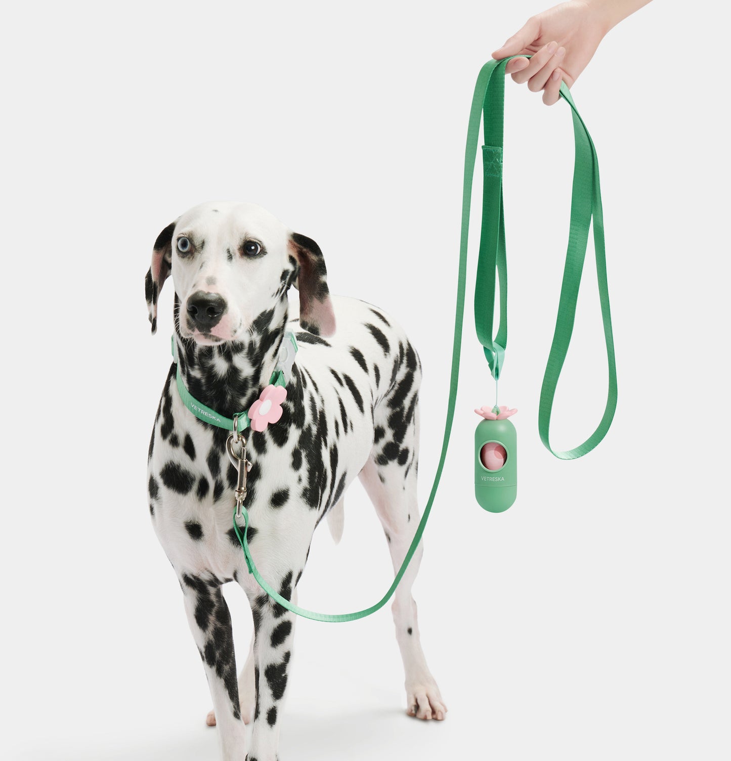 Vetreska Flora Pet Harness & Leash Set With Collar