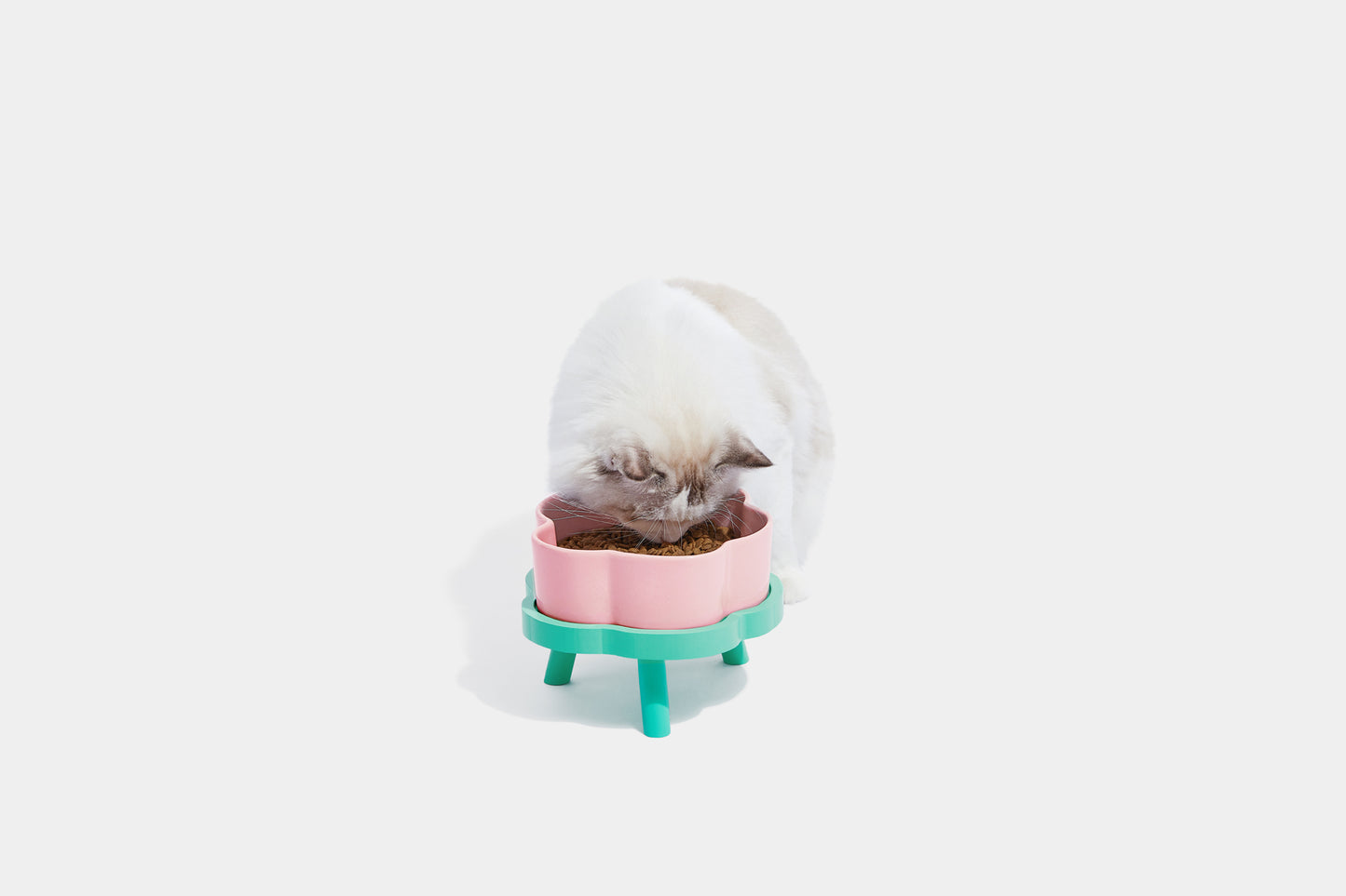 Vetreska Elevated Pet Bowl Cat Dog Feeder Food Wat