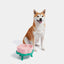 Vetreska Elevated Pet Bowl Cat Dog Feeder Food Wat