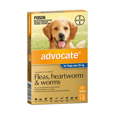 Dog Extra Large Blue