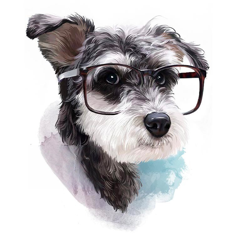 Custom 2D Pet Portraits | Digital Photo