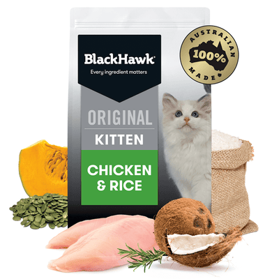 chicken and rice dry kitten food