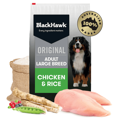 dry dog food large breed adult chicken and rice
