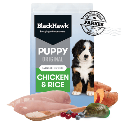 Black Hawk Puppy Chicken & Rice Large Breed Dry Dog Food