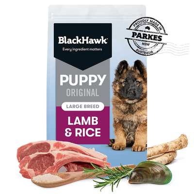 dry dog food puppy large breed original lamb and rice