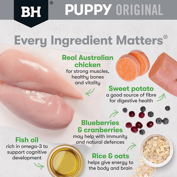 Black Hawk Puppy Chicken & Rice Small Breed Dry Dog Food