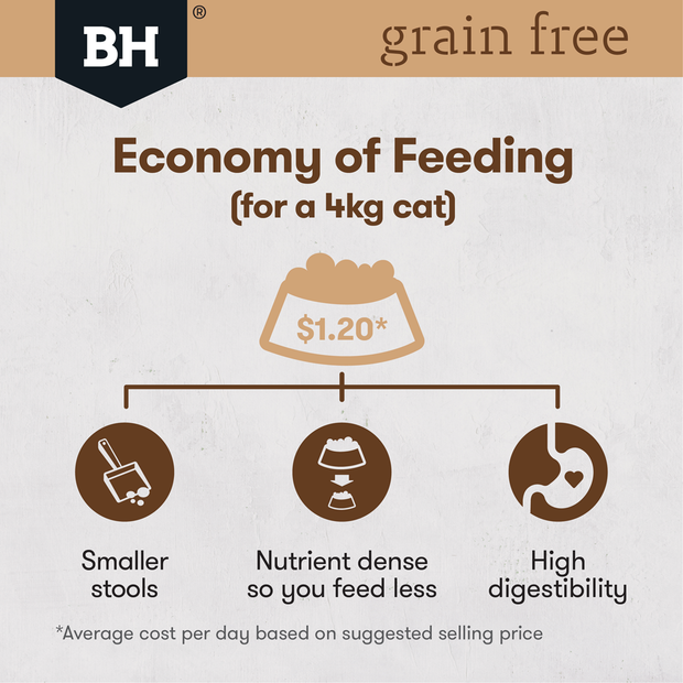 grain free chicken and turkey dry cat food