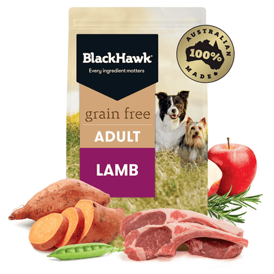 grain free dry dog food adult lamb