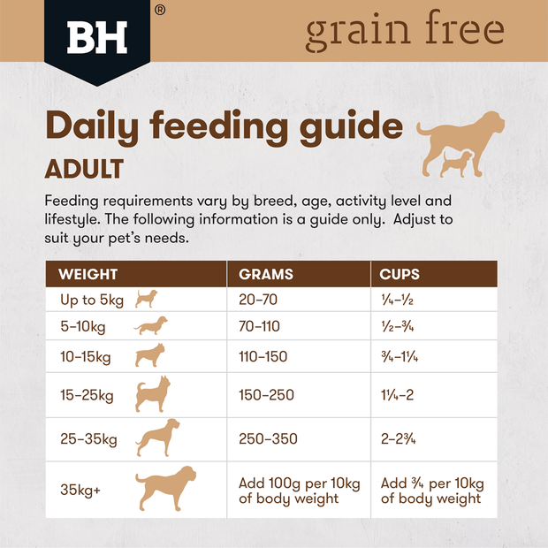 grain free dry dog food adult lamb