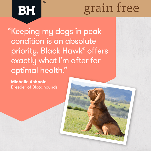 grain free dry dog food adult salmon